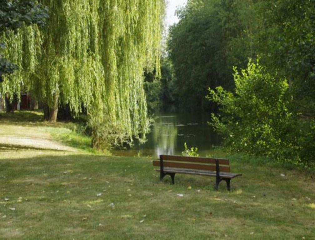 Le Clos Du Murier Chassignelles Buitenkant foto