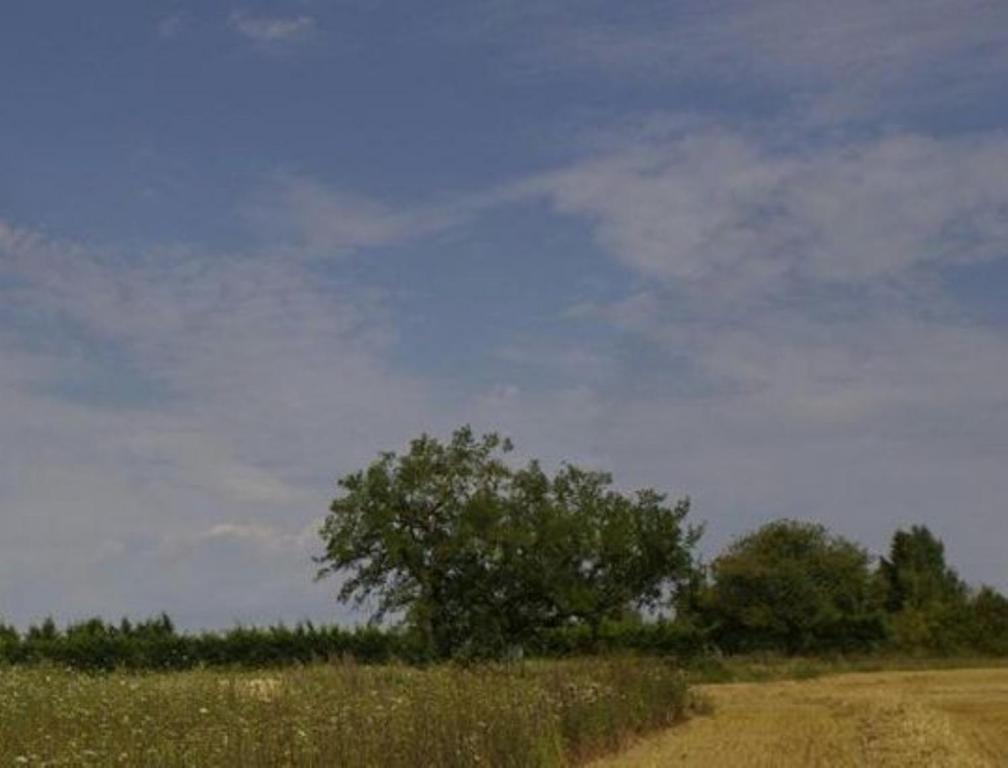 Le Clos Du Murier Chassignelles Buitenkant foto
